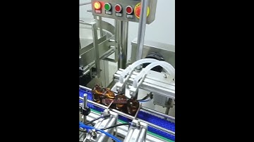 Oral Liquid Bottling Line | Double-Head Peristaltic Pump Filling & Lid Pressing Machine ⚙️💧💊