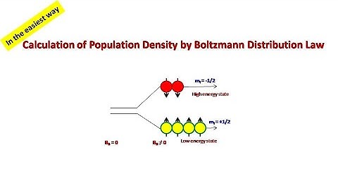 Population Density in NMR