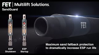 FET SandGuard