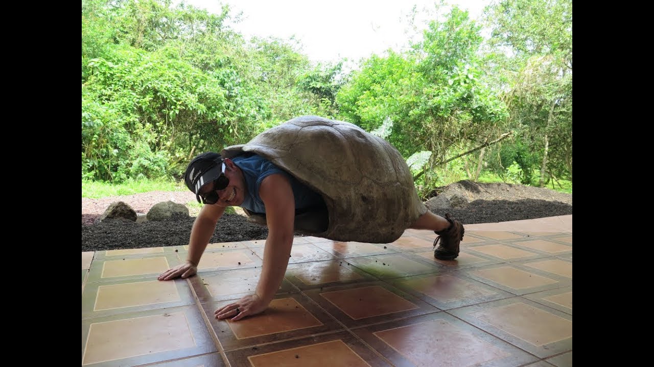 birthday wishes Off to Galapagos Islands we go - Amphibian Adventures