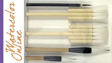 MY BRUSHES! WATERCOLOR Brush GUIDE, Part 2 - With Practical Application Techniques