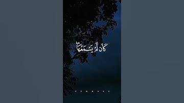 تلاوه خاشعه تقشعر منها الابدان بصوت ياسر الدوسري #تلاوات #quran #قران_كريم #قران #ياسر_الدوسري