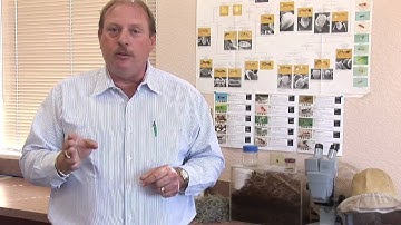 Flea Control : How to Kill Fleas With Household Products