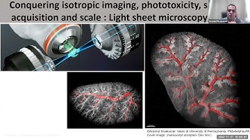 Establishing a workflow for light sheet imaging and image processing