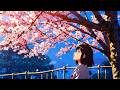 Lofi Binaural Beats for Anxiety &amp; Stress-Induced Insomnia | Sakura Rain &amp; Cherry Blossoms |
