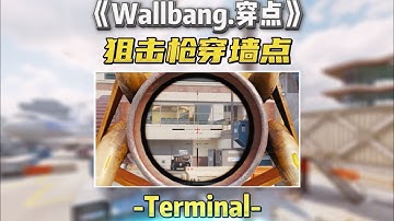 Best wallbang spots in Terminal.浴血航厦狙击枪穿点