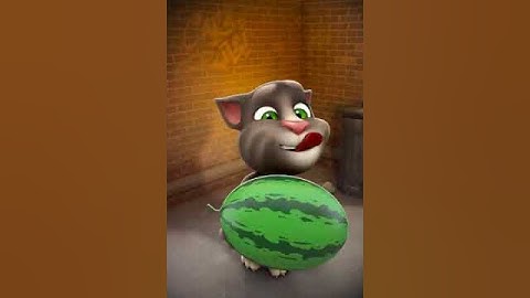 Talking Tom 🔴 NEW! 🔴 Talking Tom 2 Tomcat #422