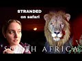 Night safari south africa surrounded by lions  kruger vlog