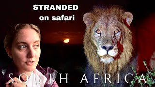 Night Safari South Africa surrounded by LIONS | Kruger Vlog