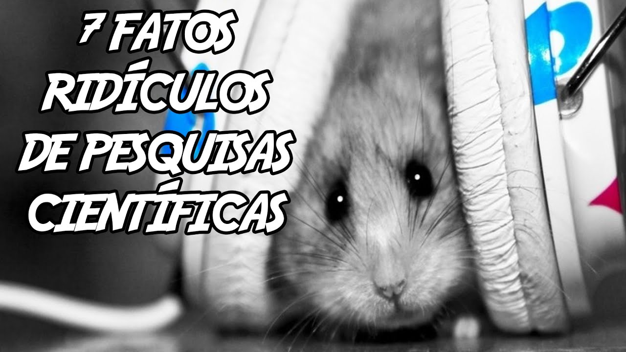 7 Fatos Ridículos e Incríveis de Pesquisas Científicas