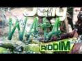 Jelly Wata Riddim Mix - DJ Frass Records - March 2015