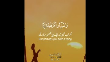 وعسى أن تحبوا شيئا وهو شر لكم✨ سورة البقرة:٢١٦|مشاري العفاسي|Surah Al Baqarah:216|Mishary Alafasy
