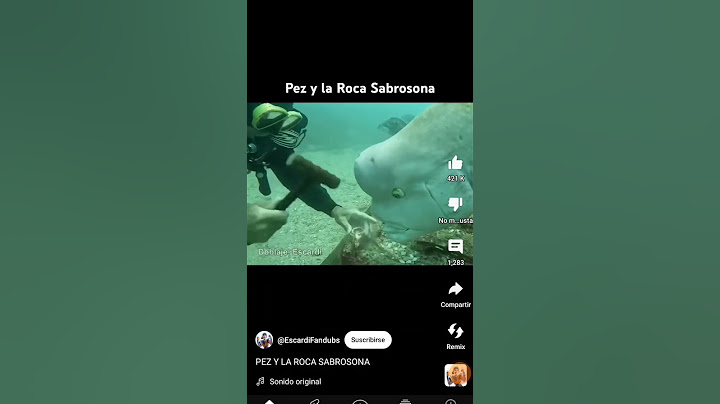 créditos escardi el pez y la roca sabrosona