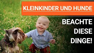 🐕🐶 Kleinkinder und Hunde ➡️ Welpen und Kleinkinder ➡️ Beachte diese Dinge! 🐕🐶✔️ by Stephanie Salostowitz - Online Hundetraining 4,290 views 5 months ago 7 minutes, 52 seconds