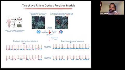 Understanding chemo resistance using single cell RNA sequencing BioTuring Webinars