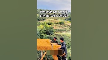 Thảm cỏ rơm vàng nhân tạo lợp mái cực chill, cuộn rơm vàng lợp mái giá sỉ | Liên hệ: 0816.489.555