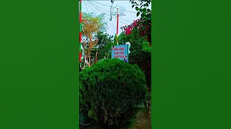 Mere Mehboob #trending #shortsfeed #song Mere Mehboob #trending #shortsfeed #song