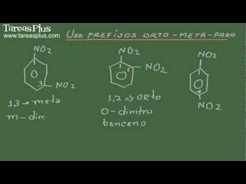 Vídeo: Diferencia Entre Aleuroplastos Y Elaioplastos