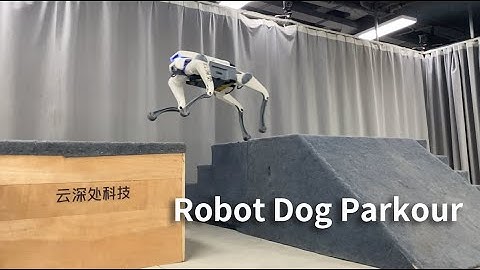 Let the robot dog parkour!  |“DEEPRobotics AI+” plan