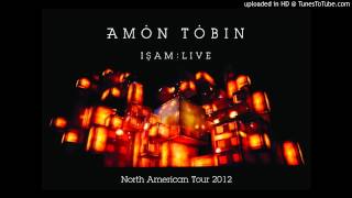 Dropped From the Sky (live version) - Amon Tobin