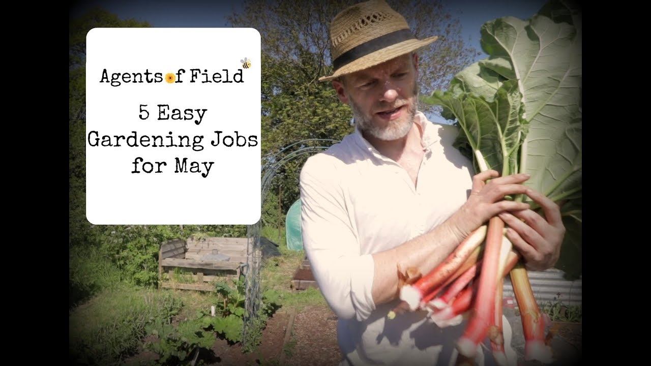 5 Easy Gardening Jobs for May