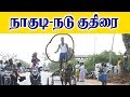 நாகுடி நடுகுதிரை -20.03.2019-Nagudi-Nadukuthirai -Amutham Studio