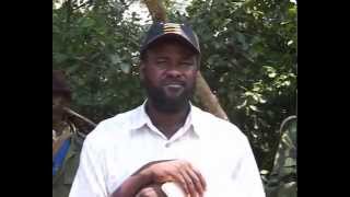 Uganda starts process to extradite Jamil Mukulu from Tanzania