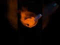 Отлив металла для изделий