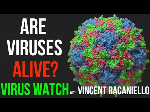 Video: Is The Virus A Living Organism