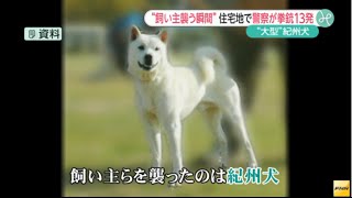 警官３人１３発発砲 人襲った犬射殺 Youtube