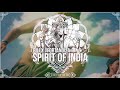 Billx  fortanoiza  spirit of india official