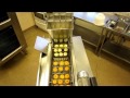 Mini Donut Machine MP3 Demo Mini Donut Machine MP3 Demo