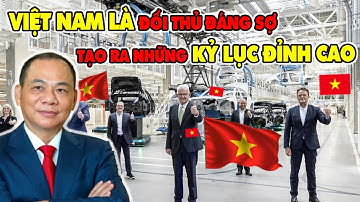 Cả ĐNÁ Ghen Tị! Việt Nam Liên Tục Tạo Ra Những Kỷ Lục ĐỈNH CAO Không Ngờ Tới Trên Thế Giới