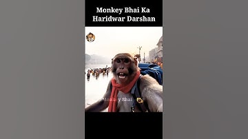 🔥 “Monkey Bhai Pahunch Gaye Haridwar – Ganga Aarti Ne Jeet Liya Dil! 🚩🕉️” #monkeybhaivlogs #shorts