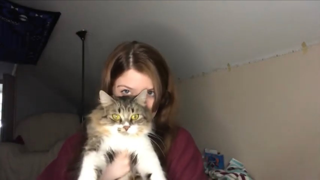 biting my false nails off!| asmr