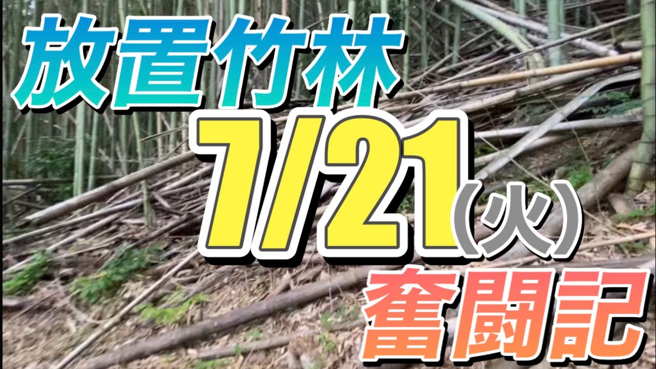 放置竹林奮闘記【早期退職者が竹を切る日々】2026/07/21 - YouTube