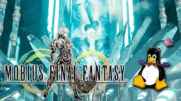 Mobius Final Fantasy Steam edition on Linux using Wine