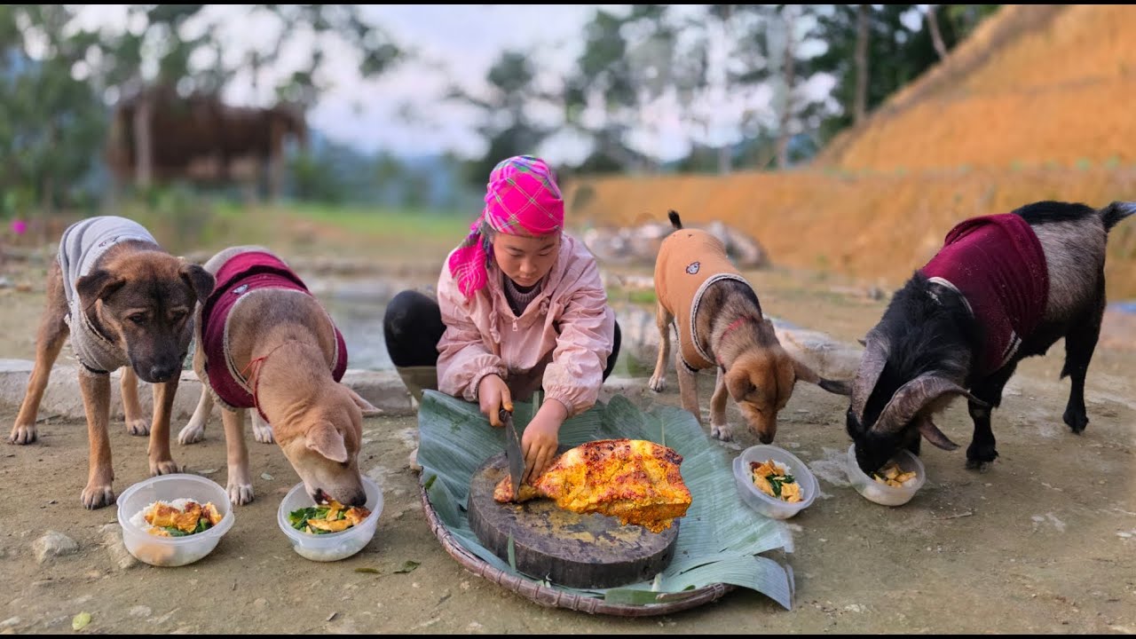 The Vietnamese woman cooks for her beloved children. - ha thi muon