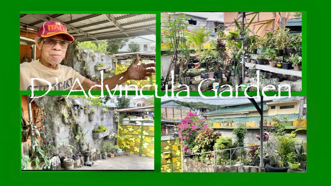 D’ ADVINCULA GARDEN