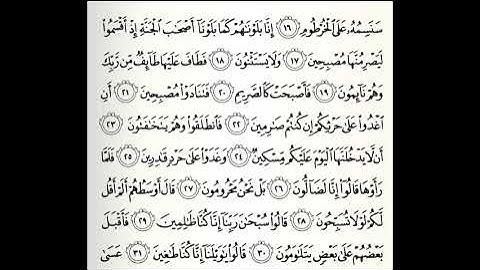 تلاوات مختارة سورة القلم القارئ علي جريد العنزي