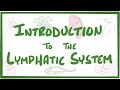 Introduction to the Lymphatic System