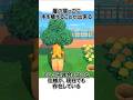 話題になった「崖際に木ができる現象」【不具合解説】#どうぶつの森 #雑学 @ほのげ