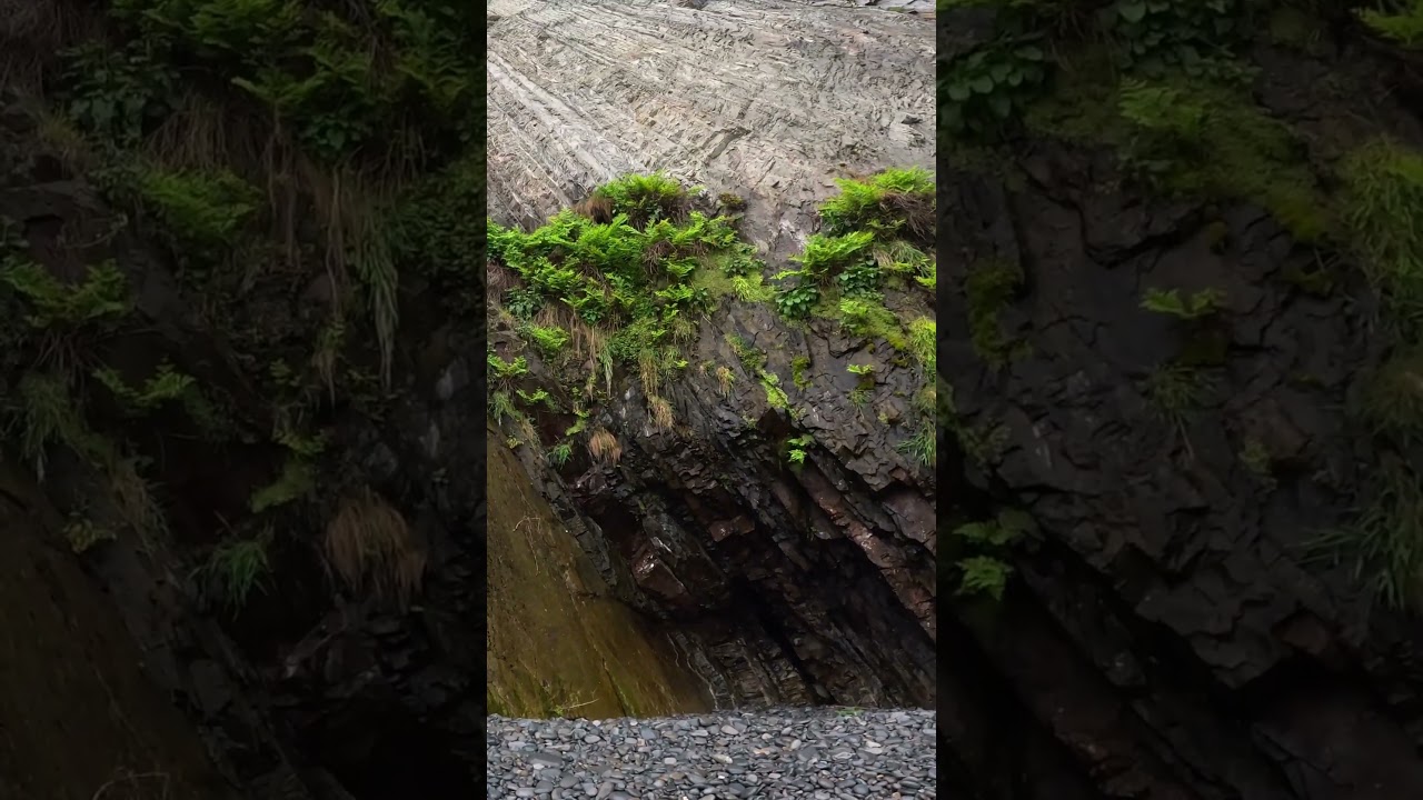 Curiosidades que te encuentras en el pedrero. #fishing #fishingvideo #pesca #asturias #lubina