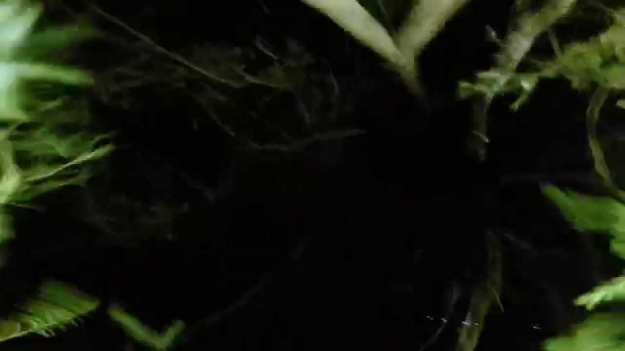 Autonomous Flight Gone WRONG YouTube autonomous-flight-gone-wrong-youtube