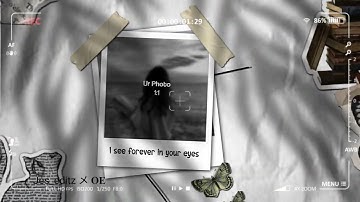 Pmv typography || Dandelions || Alight motion