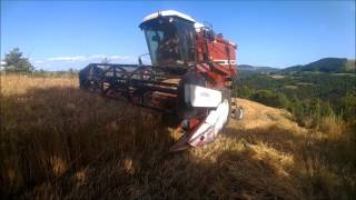 Moisson 2016 en Lozère