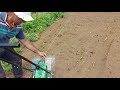 Plantadeira ALL Agri (sembradeira) manual e adubadeira