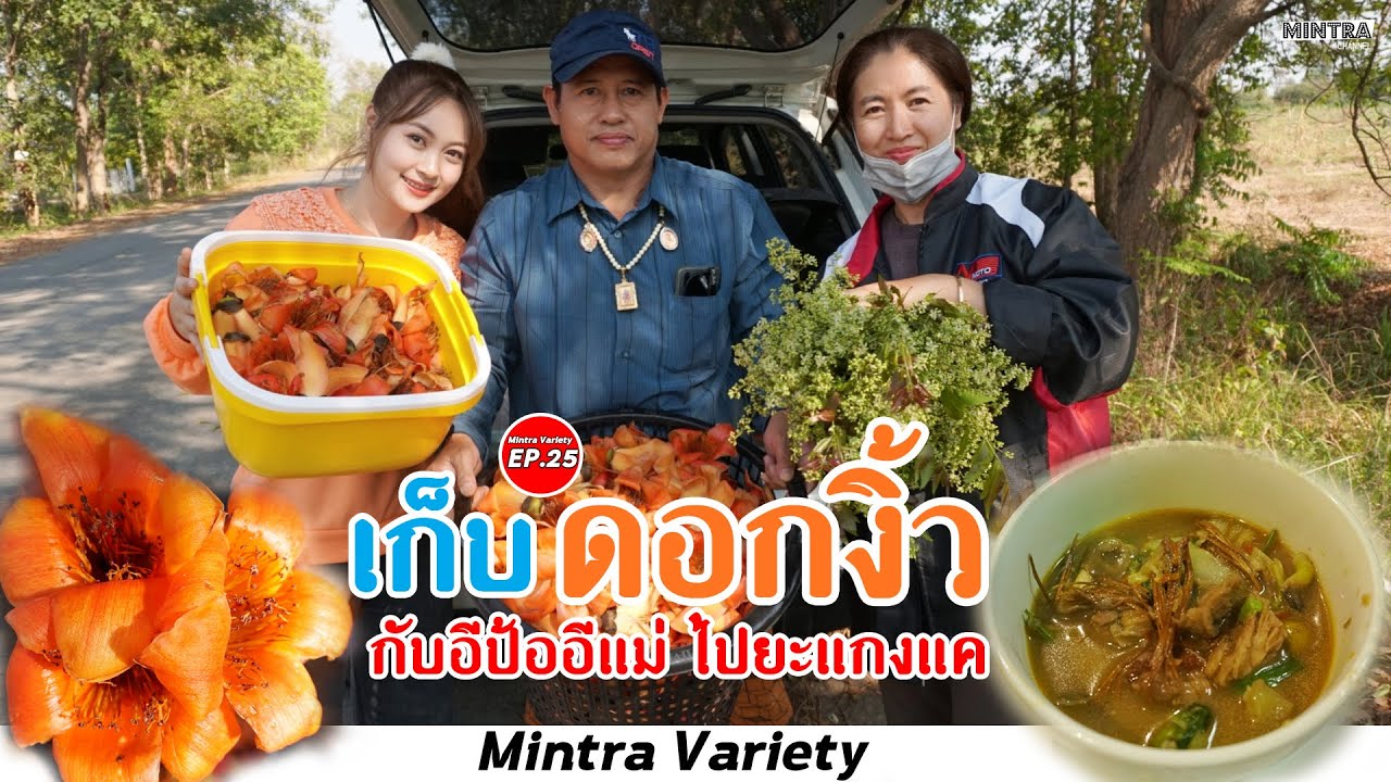 เก็บดอกงิ้วกับอีป้ออีแม่ ไปยะแกงแค (อาหารเหนือ) – มินตรา น่านเจ้า【EP.25】 | สังเคราะห์เนื้อหาที่ถูกต้องที่สุดเกี่ยวกับอาหาร เหนือ น่าน