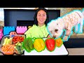 PUPPY TRIES VEGETABLES AND REVIEWS THEM!!