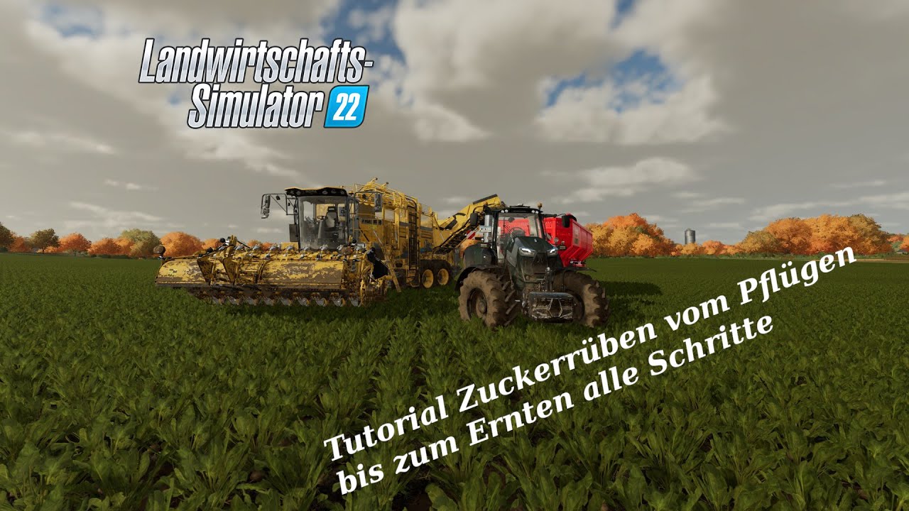 LS22 Tutorial Zuckerrüben vom Pflügen bis zur Ernte alle Schritte